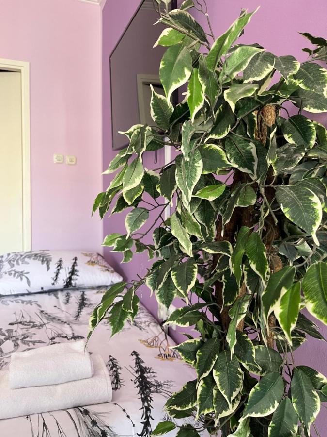 Apartman Lora Apartment Rijeka Exterior photo